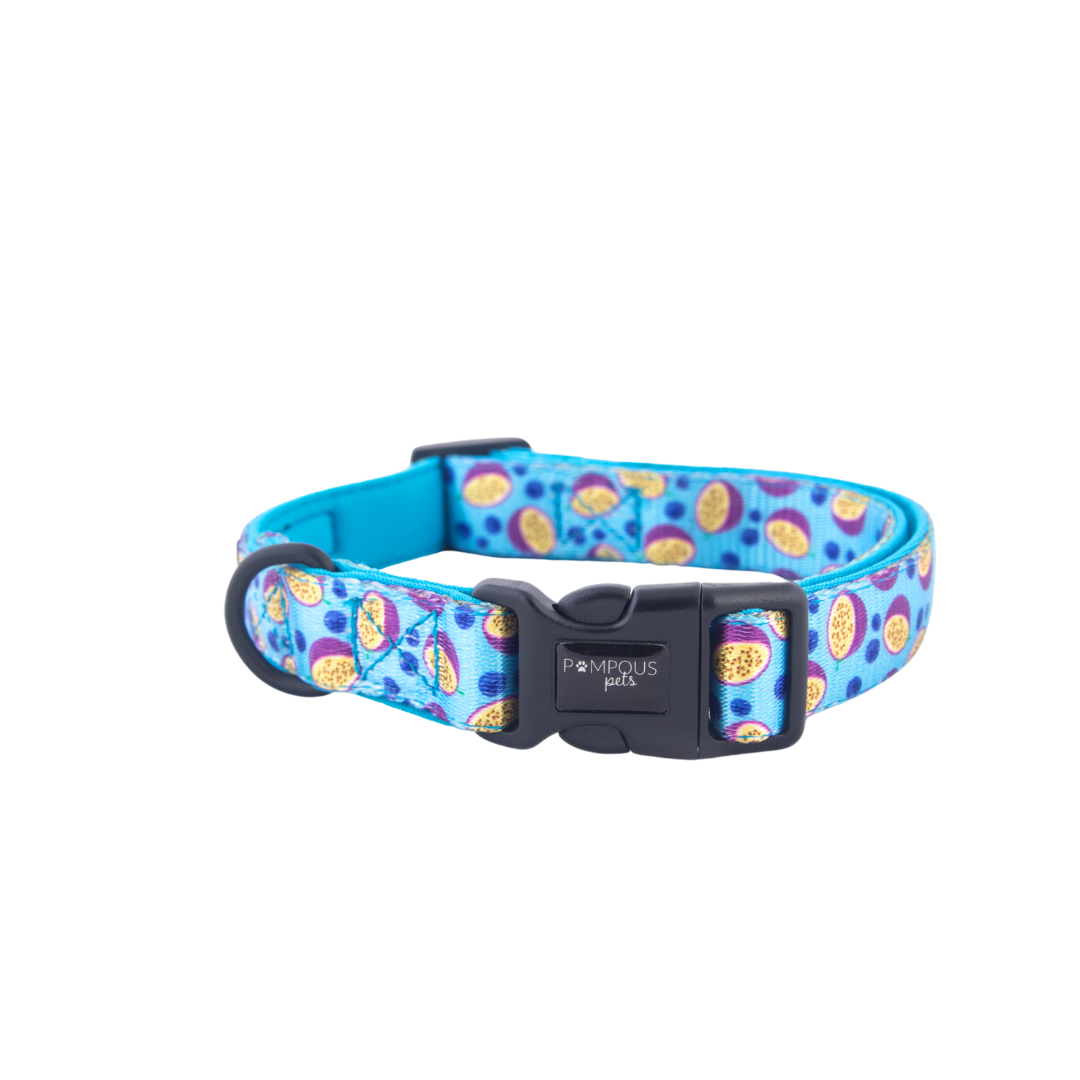 Berrydilla Dog Collar