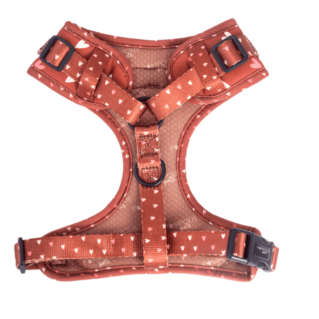 Terracotta Love Adjustable Dog Harness