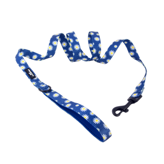 Sapphire Daisies Dog Leash