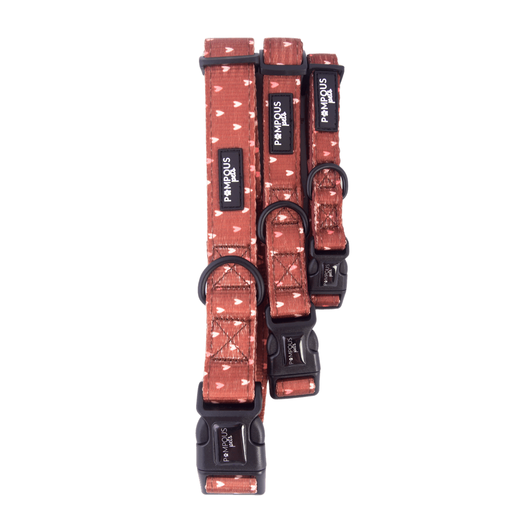 Terracotta Love Dog Collar