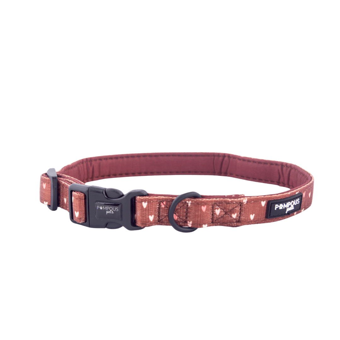 Terracotta Love Dog Collar