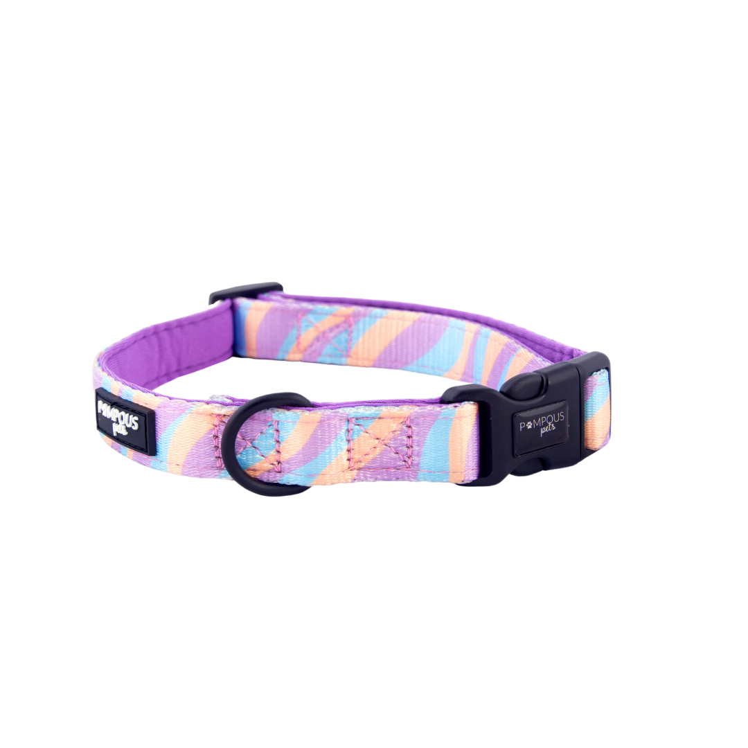 Lollipop Dog Collar