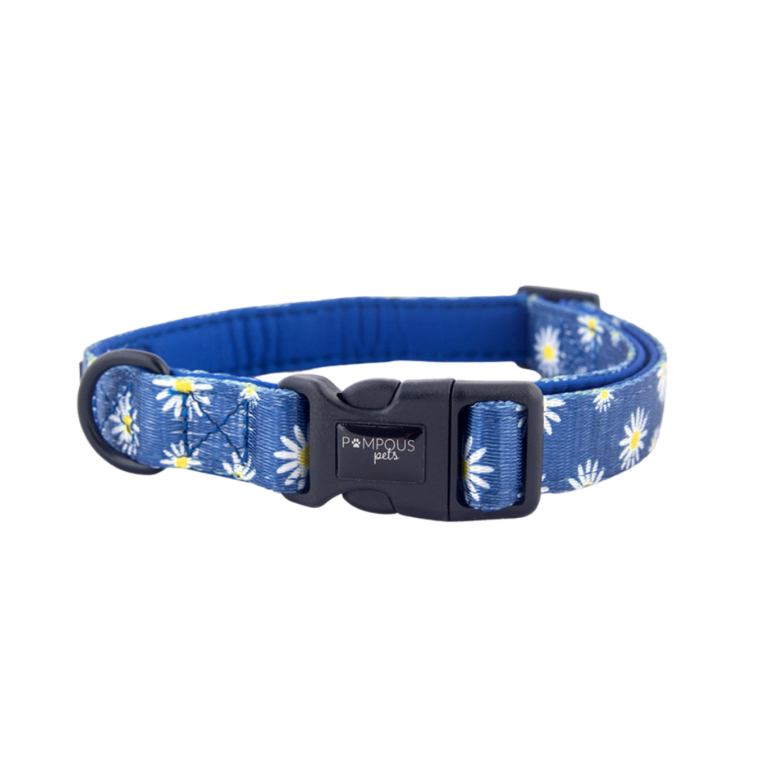 Sapphire Daisies Dog Collar