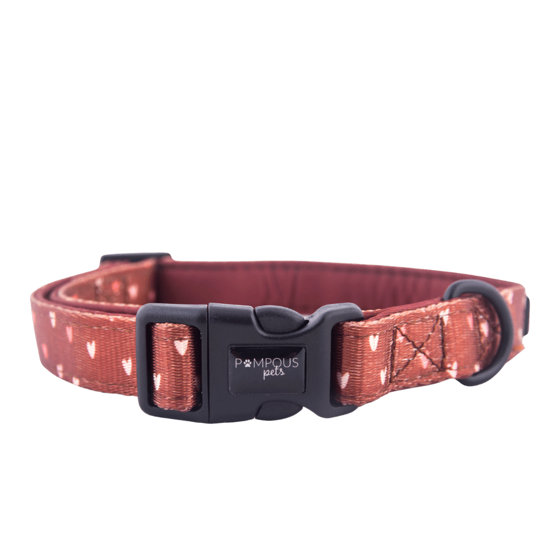 Terracotta Love Dog Collar