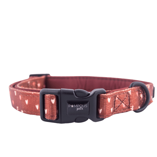 Terracotta Love Dog Collar