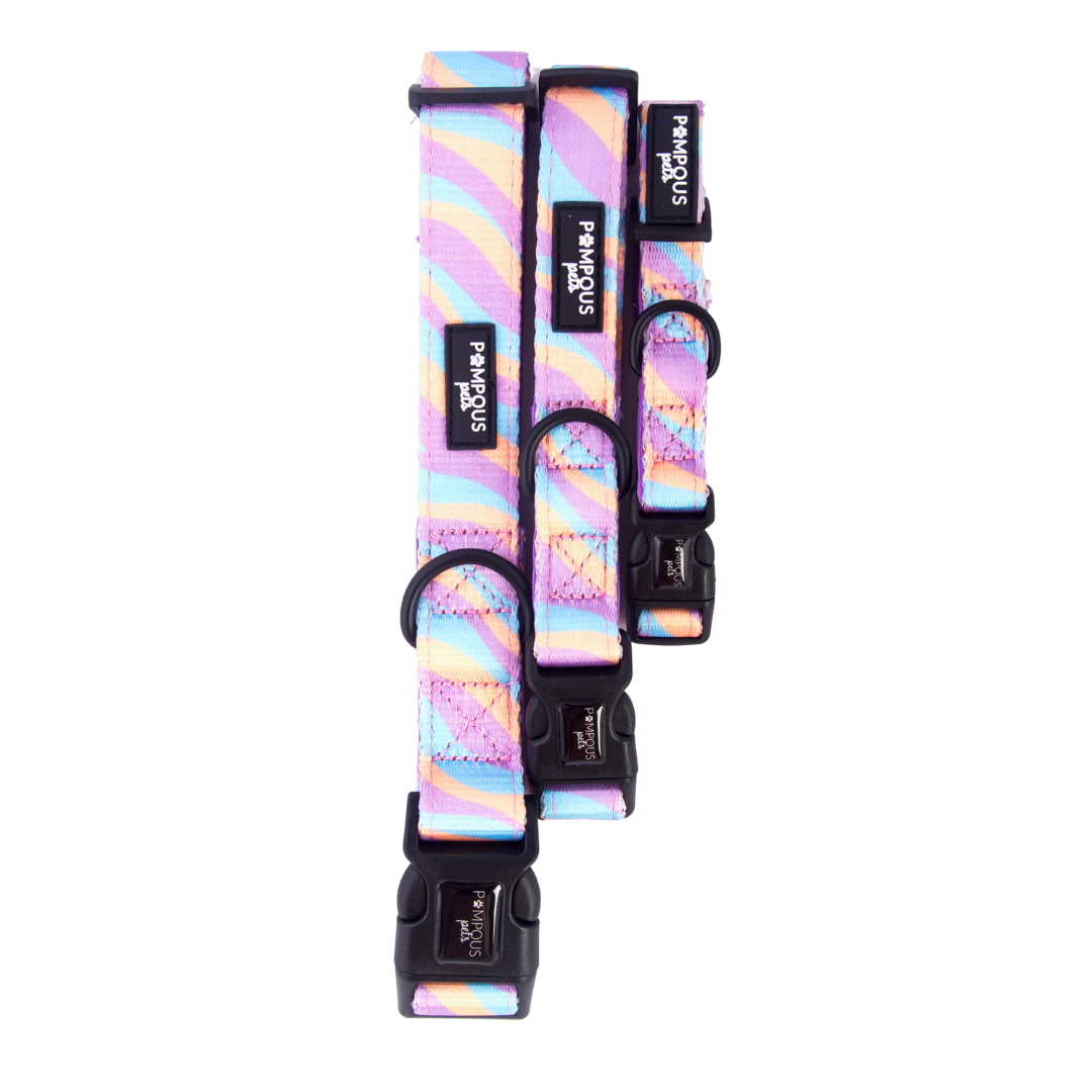 Lollipop Dog Collar