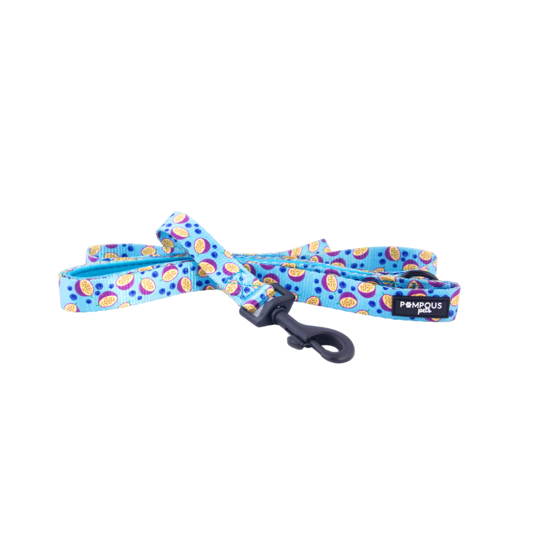 Berrydilla Leash
