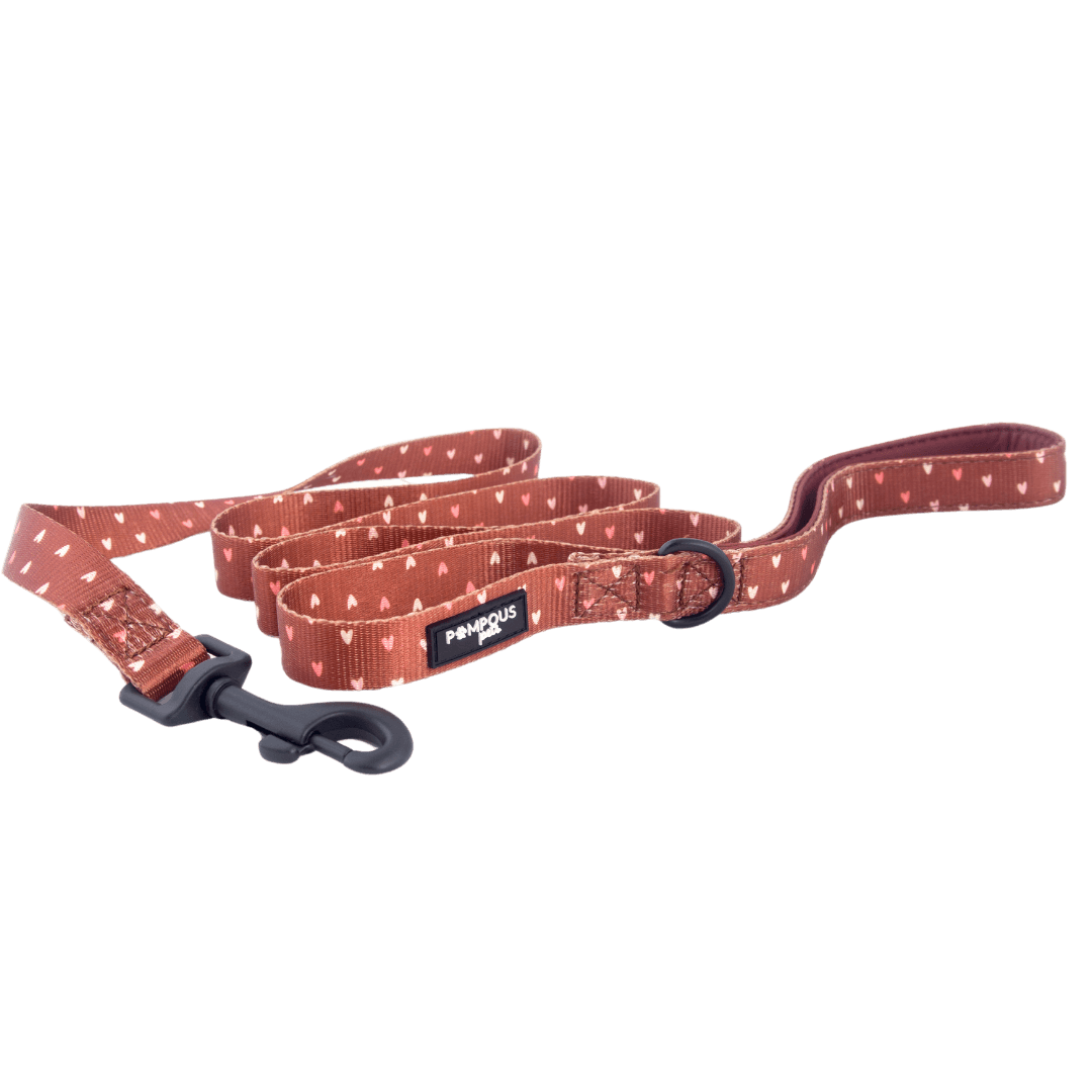 Terracotta Love Dog Leash