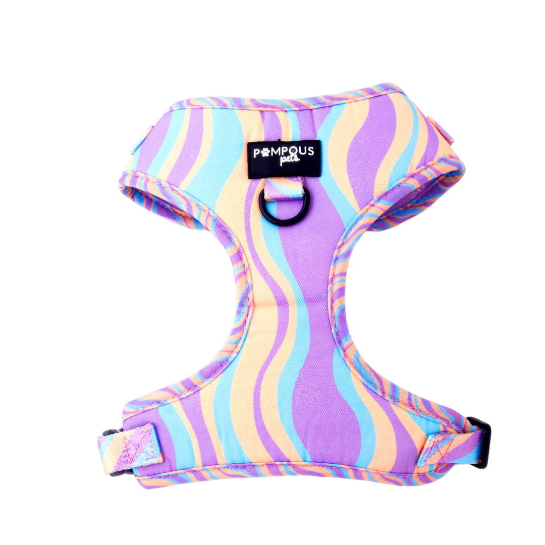 Lollipop Adjustable Dog Harness
