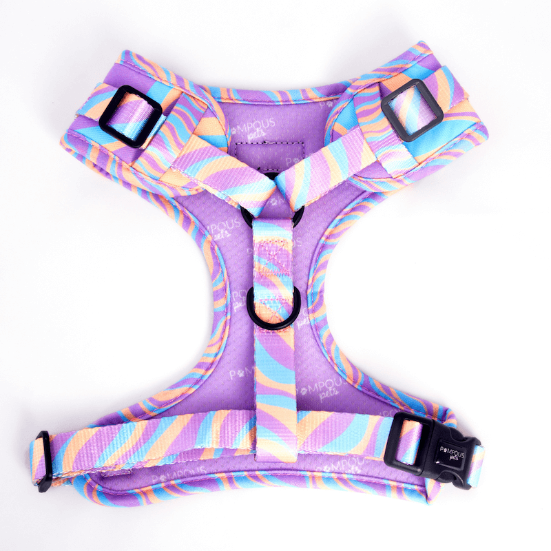 Lollipop Adjustable Dog Harness