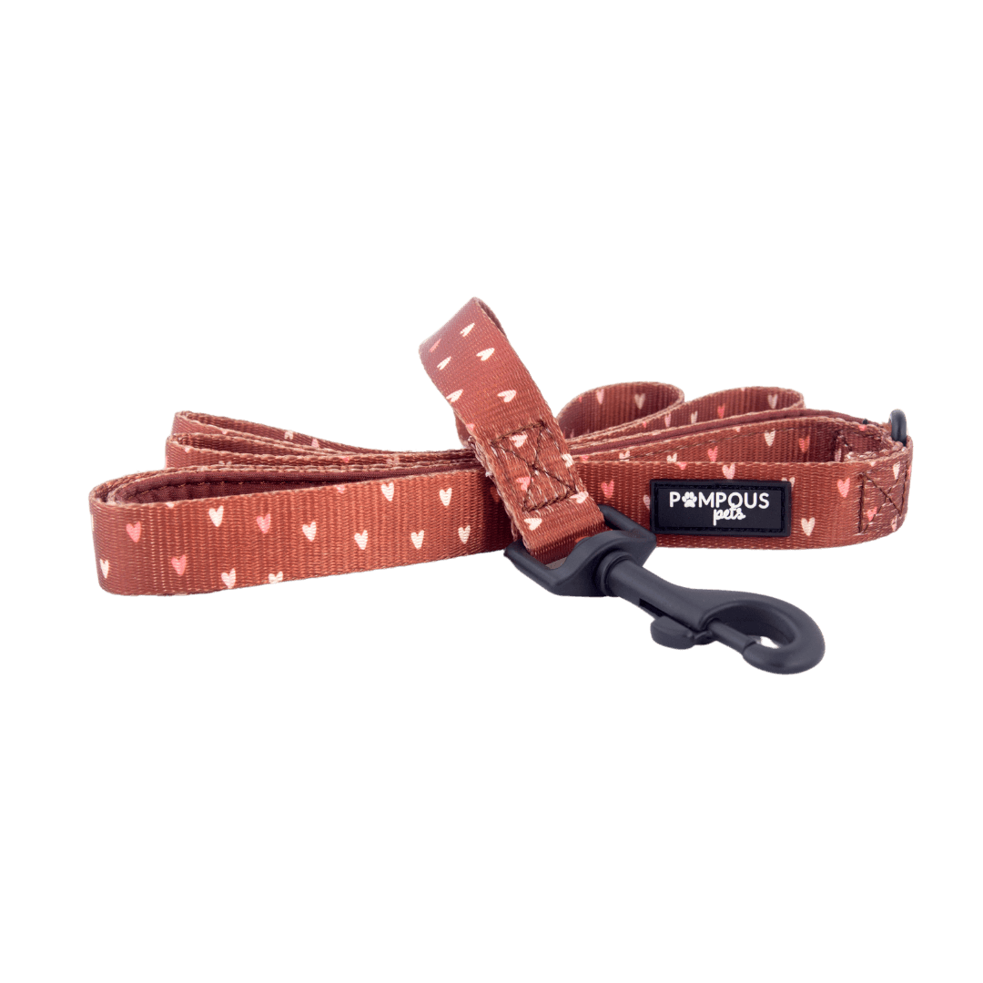 Terracotta Love Dog Leash