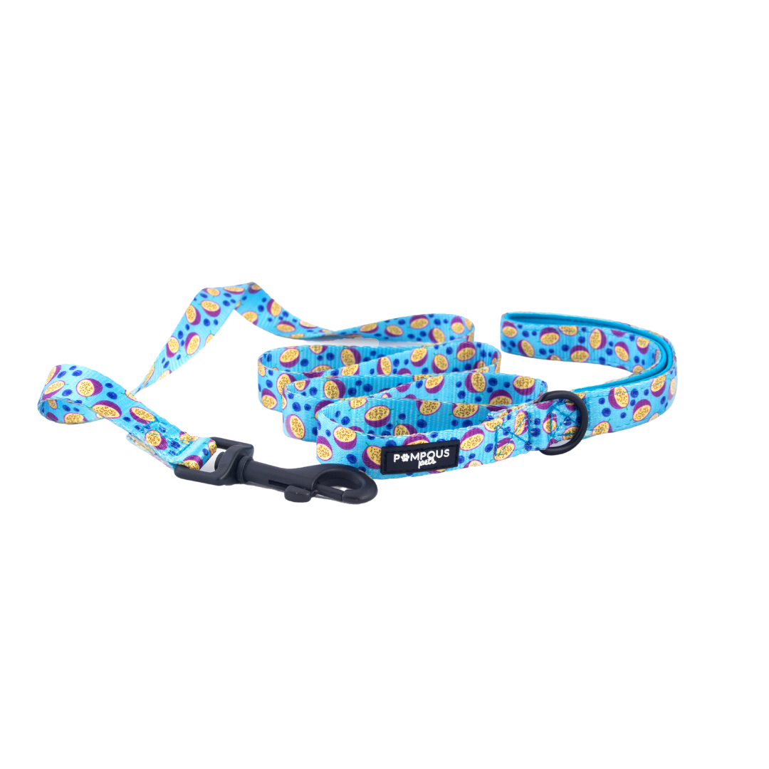 Berrydilla Leash