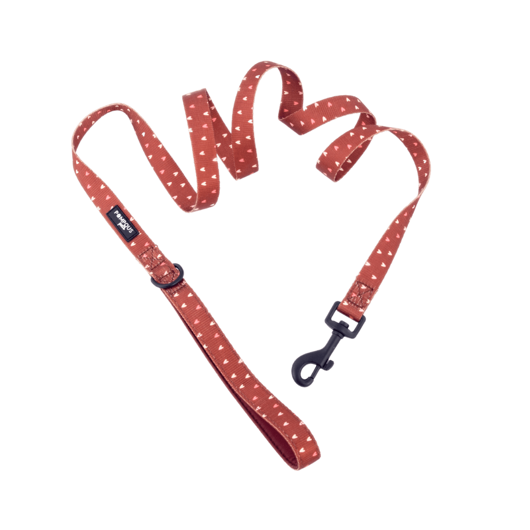 Terracotta Love Dog Leash