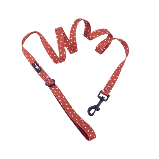 Terracotta Love Dog Leash