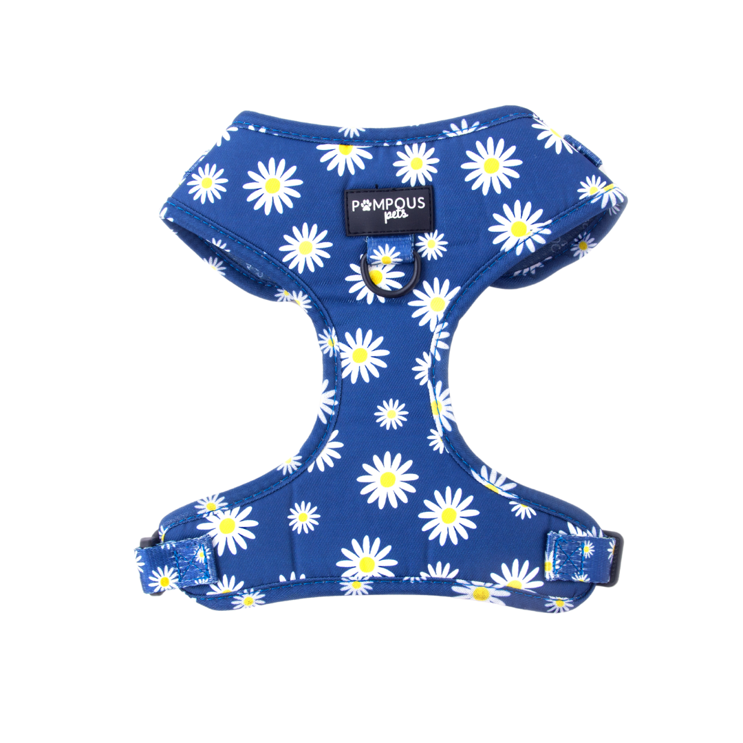 Sapphire Daisies Adjustable Dog Harness