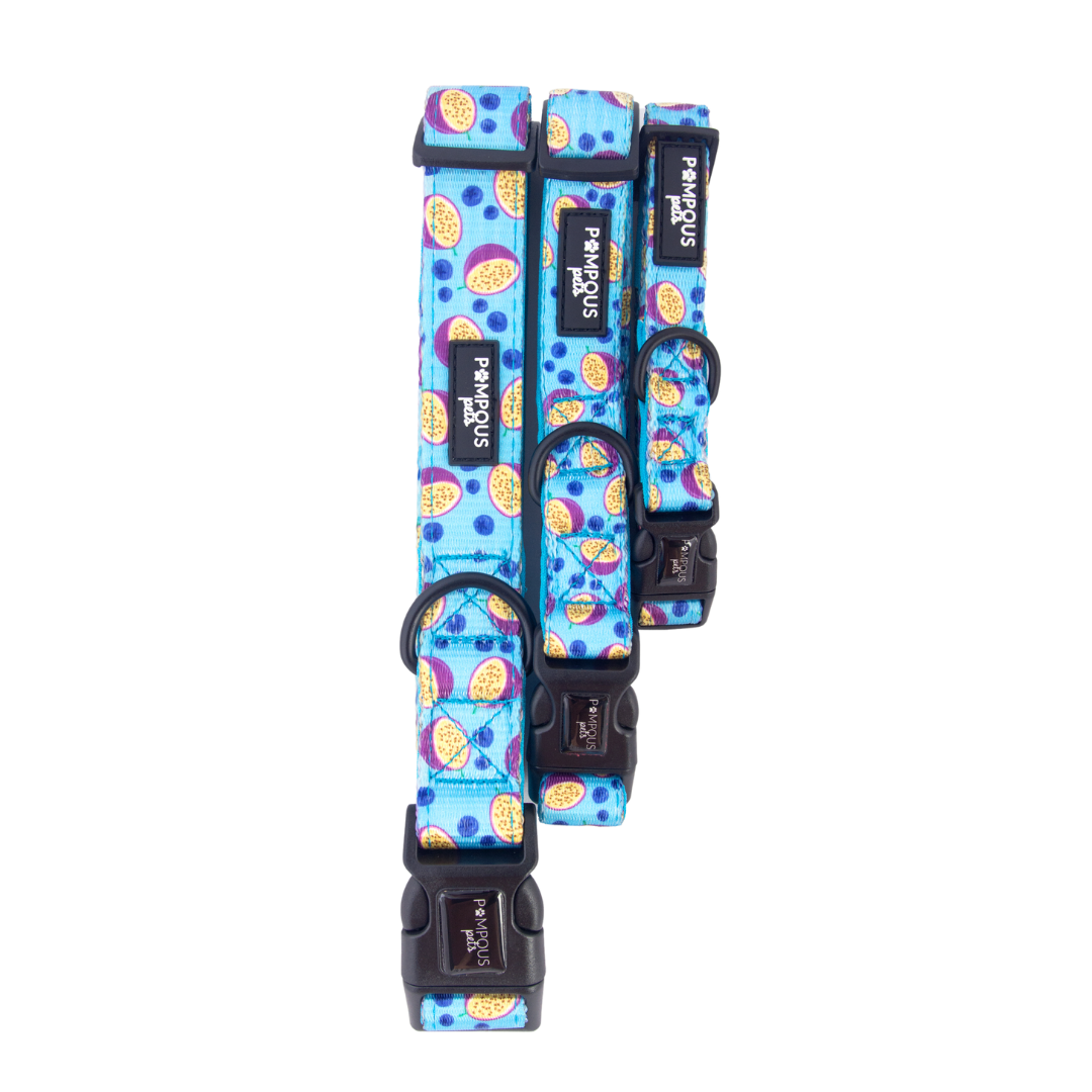 Berrydilla Dog Collar