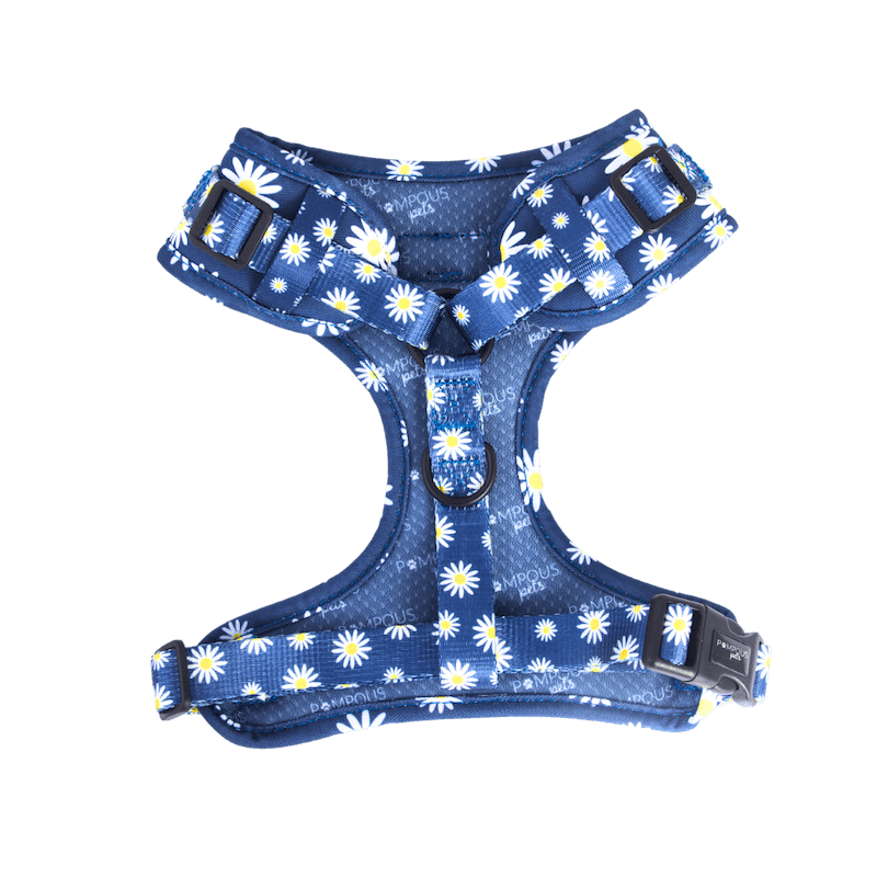 Sapphire Daisies Adjustable Dog Harness
