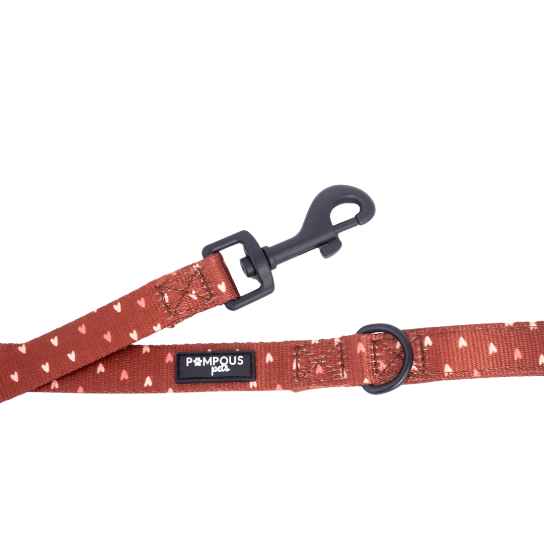 Terracotta Love Dog Leash