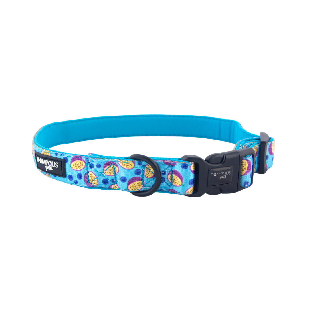 Berrydilla Dog Collar