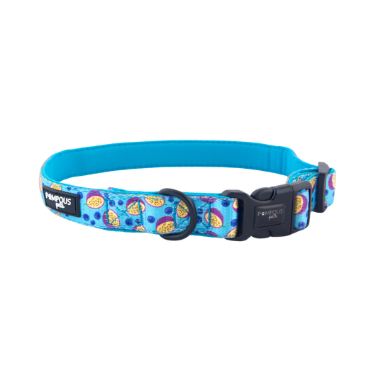 Berrydilla Dog Collar