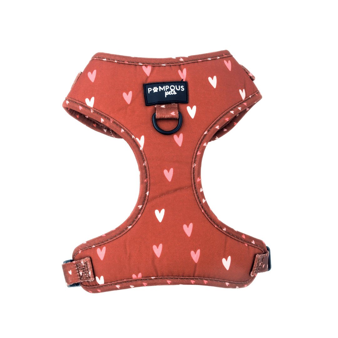 Terracotta Love Adjustable Dog Harness