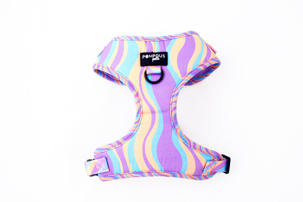 Dog harness best sale afterpay