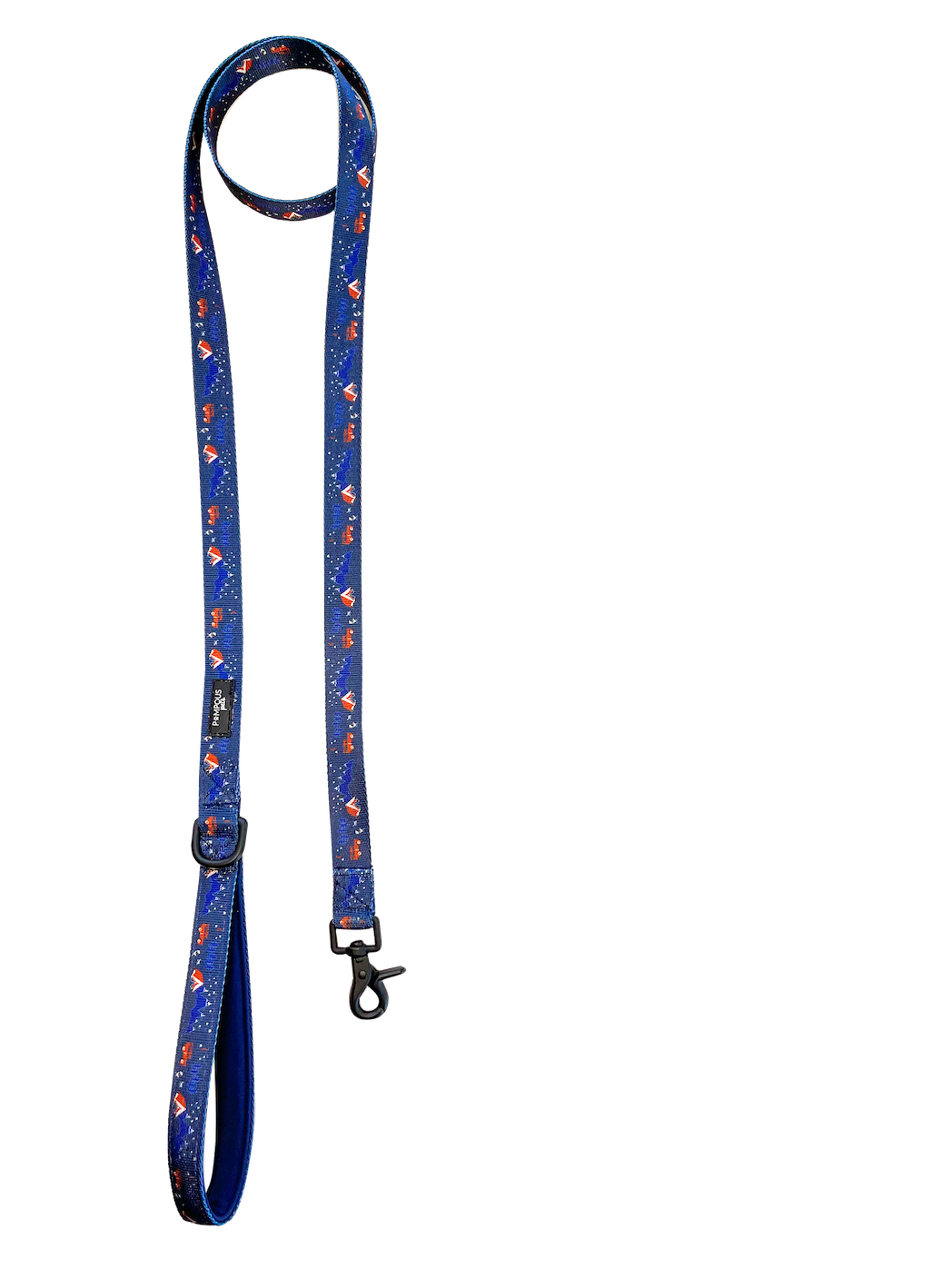 Adventure is Out There Leash