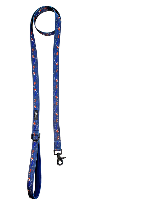Adventure is Out There Leash