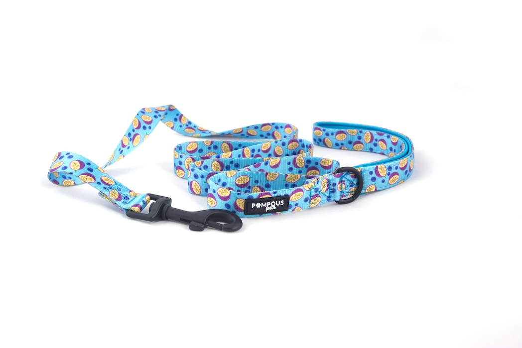 Berrydilla Leash Pompous Pets SA