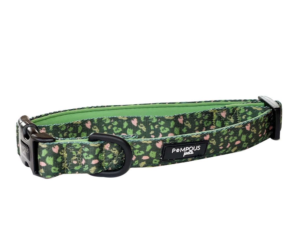 Olive Safari Dog Collars