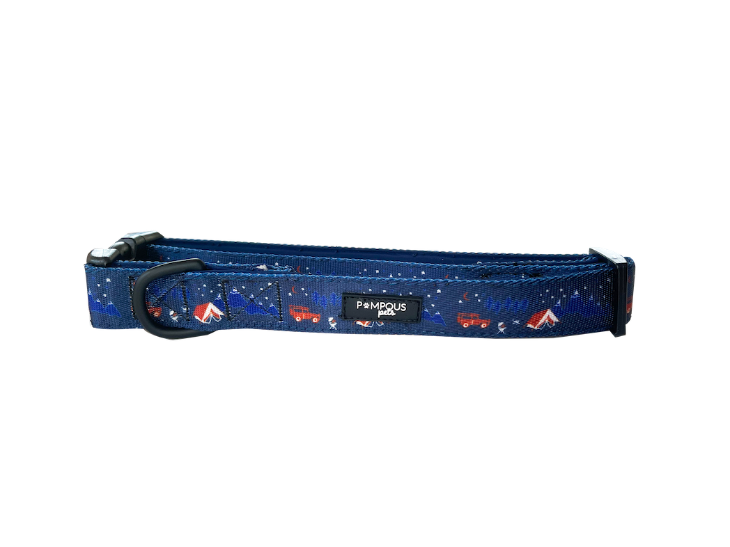 Adventure Is Out There Collars