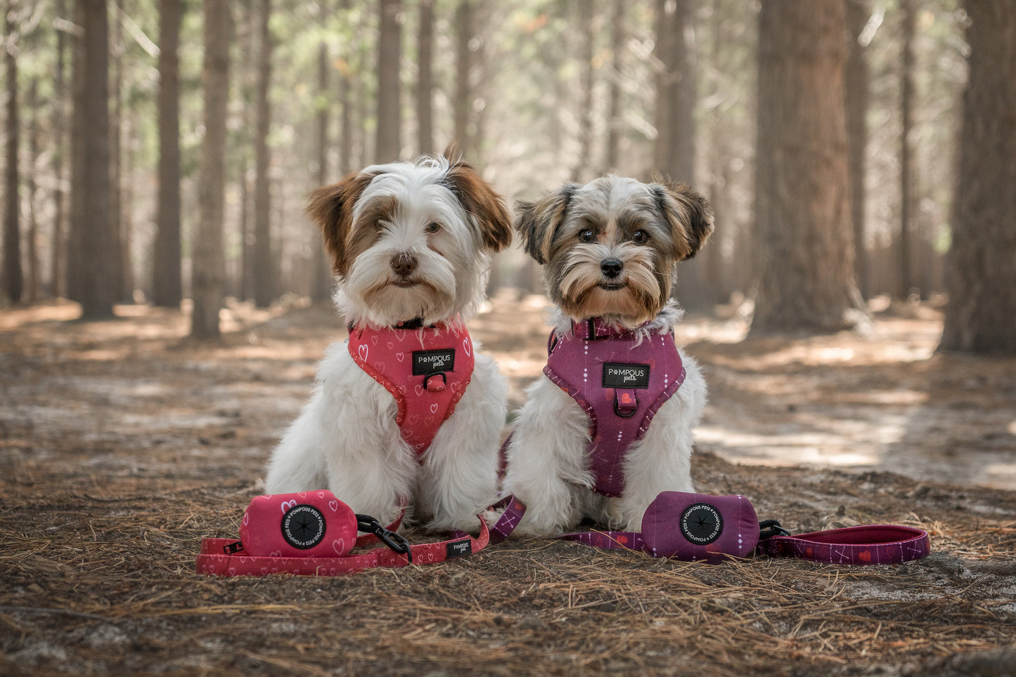 Cupids Crush Adjustable Dog Harness