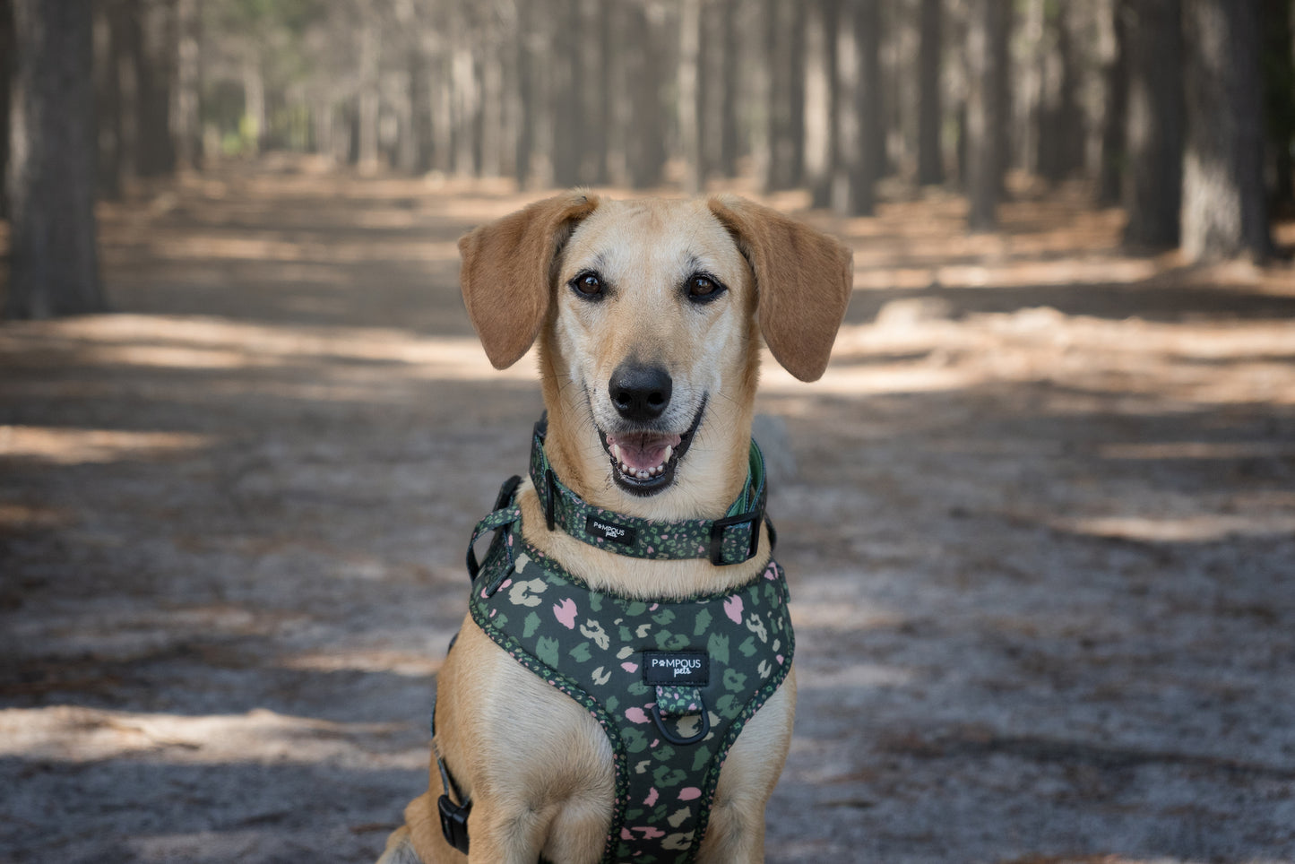 Olive Safari Adjustable Dog Harness