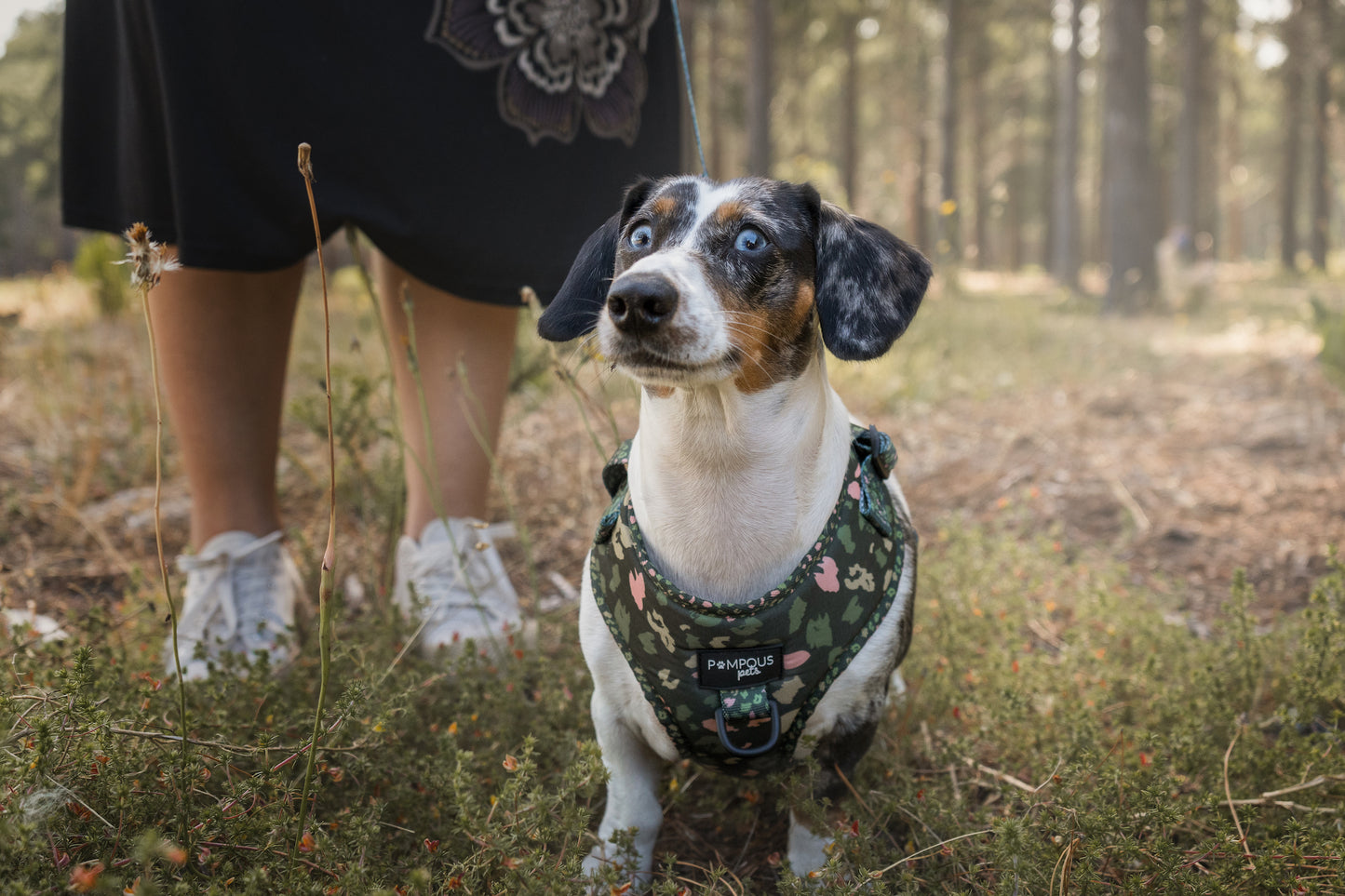 Olive Safari Adjustable Dog Harness