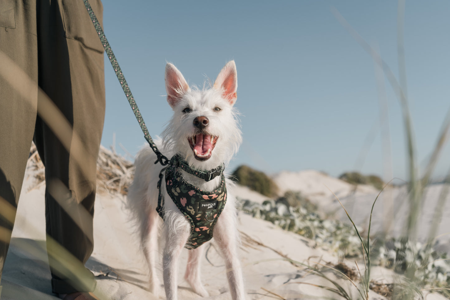 Olive Safari Adjustable Dog Harness