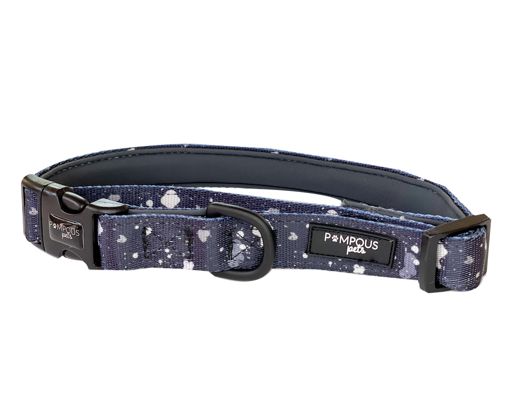 Paint The Town Dog Collars