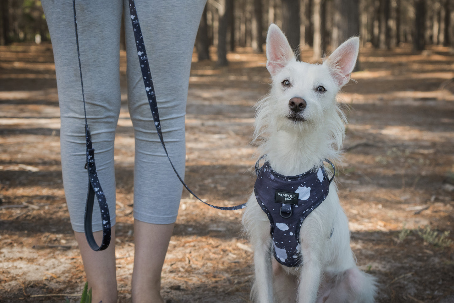 Paint The Town Adjustable Dog Harness
