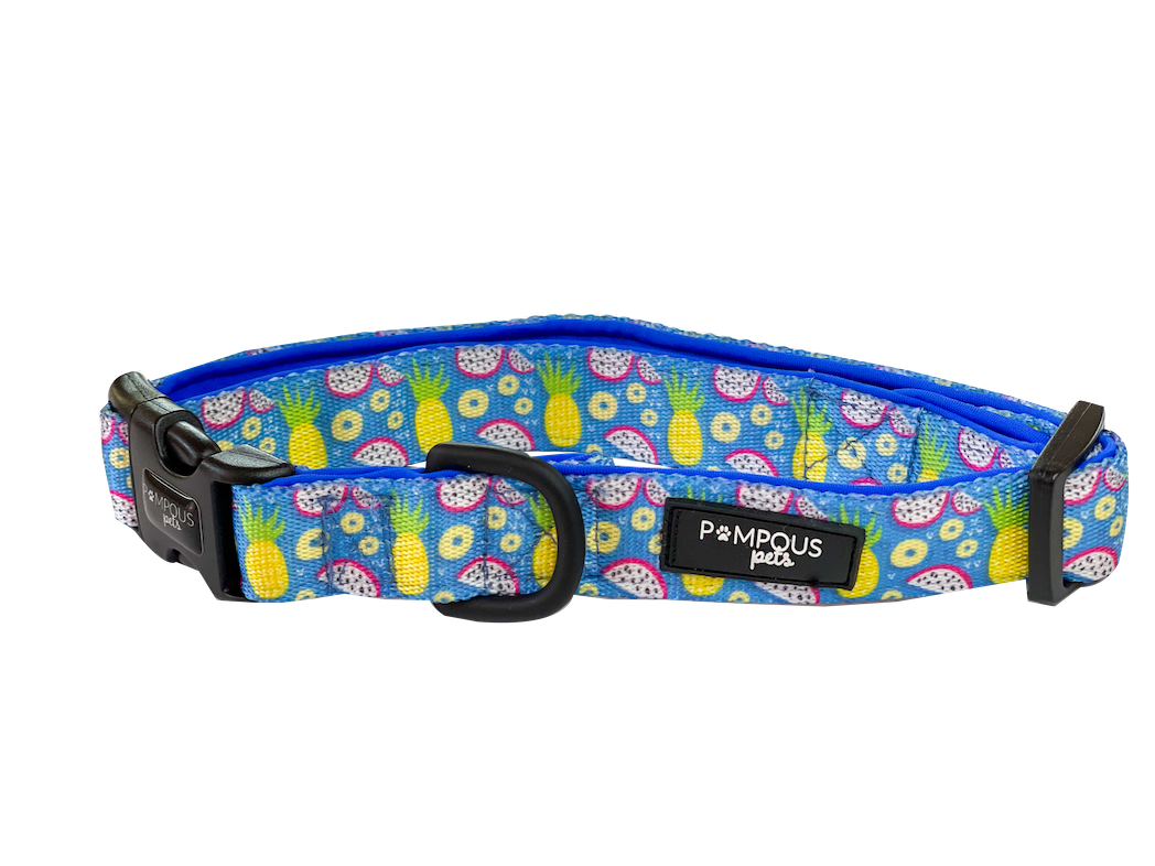 Pineapawlicious Dog Collars
