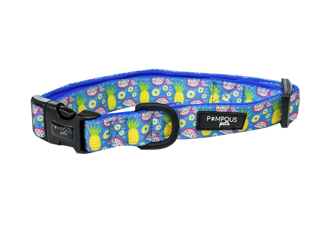 Pineapawlicious Dog Collars