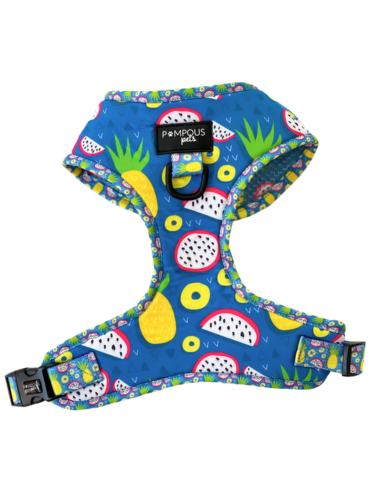 Pineapawlicious Adjustable Dog Harness