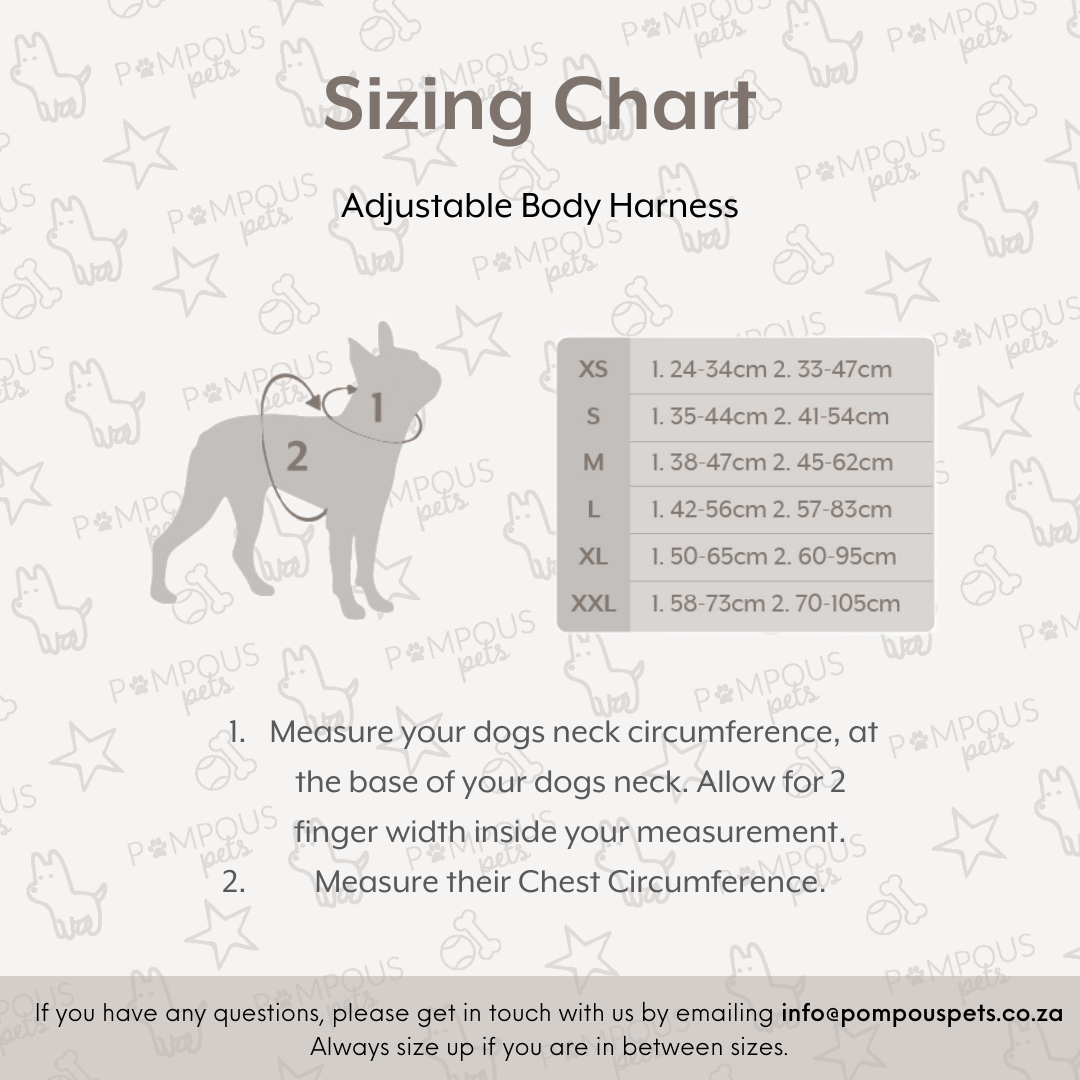 Terracotta Love Adjustable Dog Harness