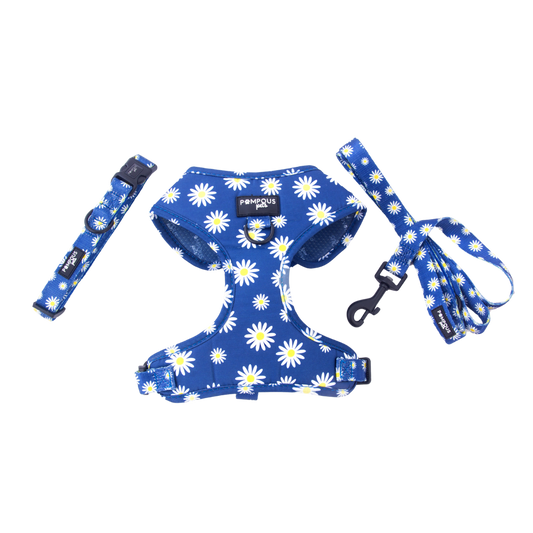 Sapphire Blue Daisies Dog Harness Bundle Set