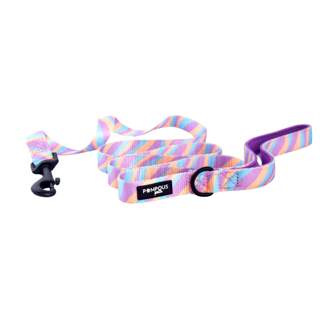 Lollipop Dog Leash