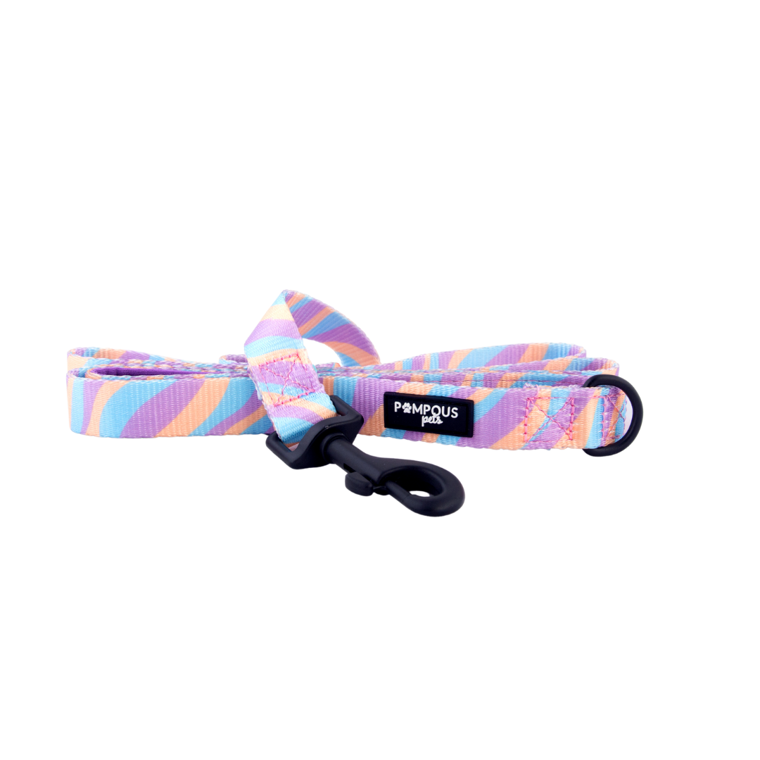 Lollipop Dog Leash