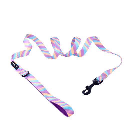 Lollipop Dog Leash