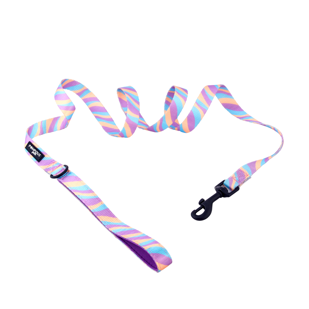 Lollipop Dog Leash