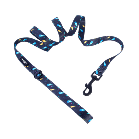 Comets Leash