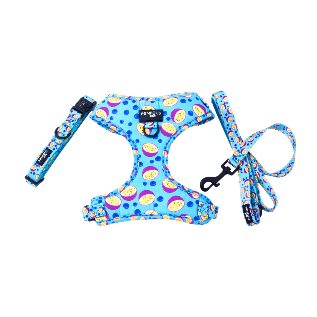 Berrydilla Adjustable Dog Harness
