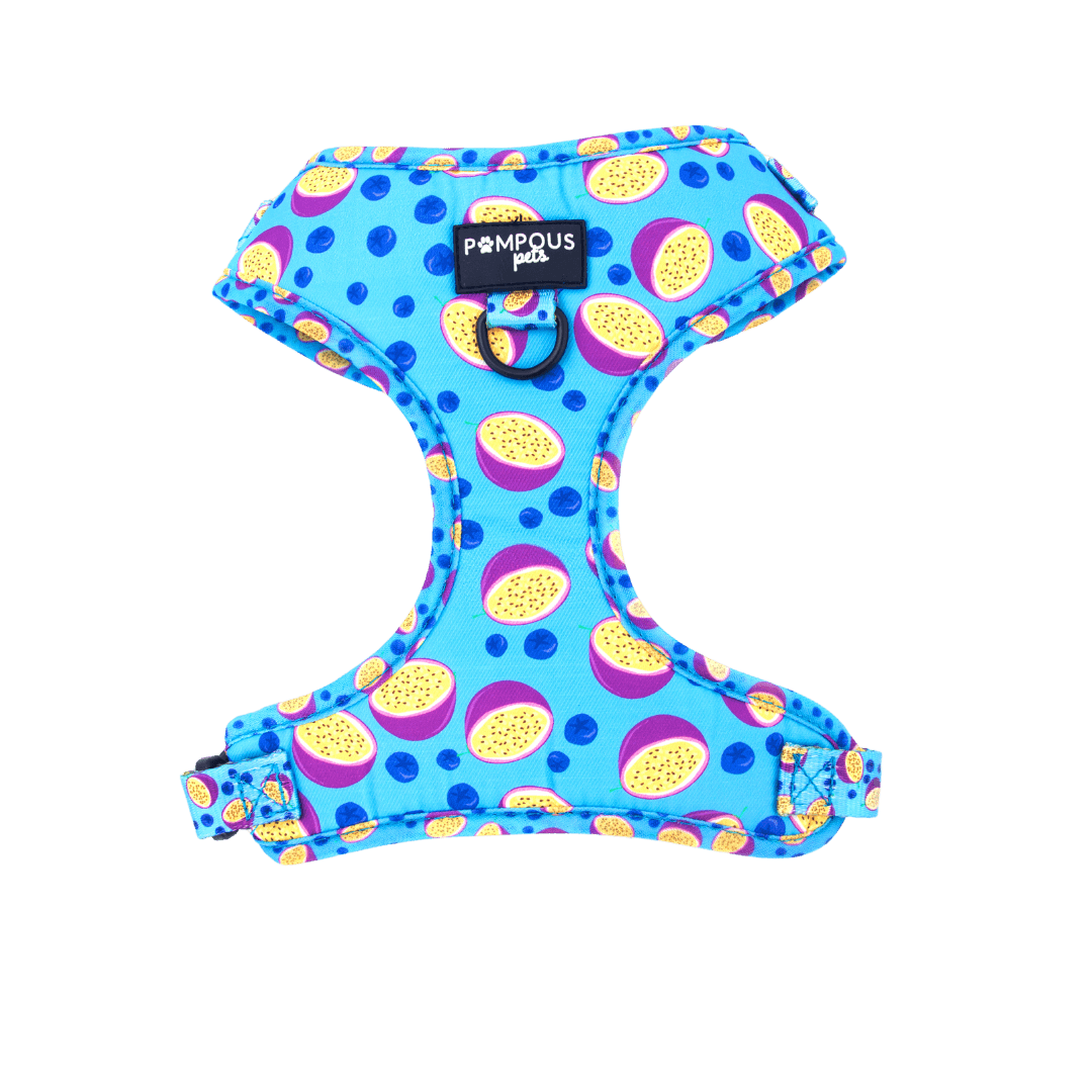 Berrydilla Adjustable Dog Harness