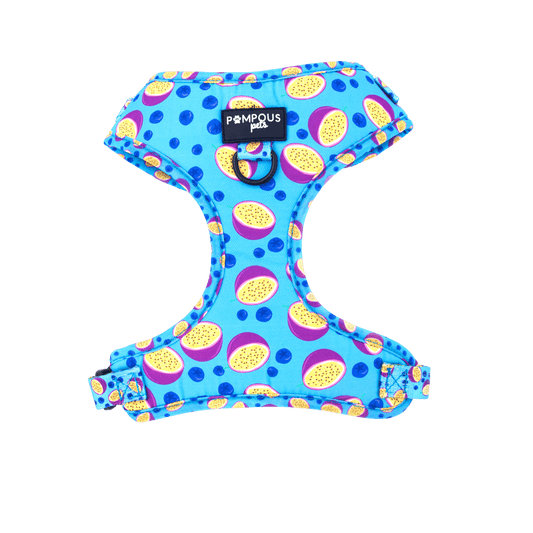 Berrydilla Adjustable Dog Harness